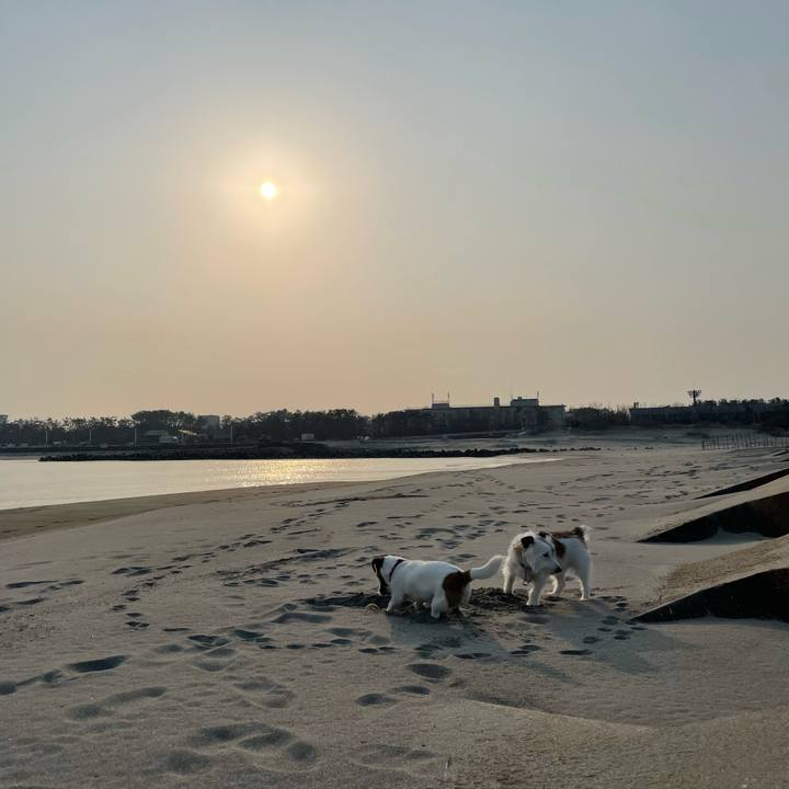 63f9f4fe 4f4f 40de a748 33a2ae6bc705 1678319665191