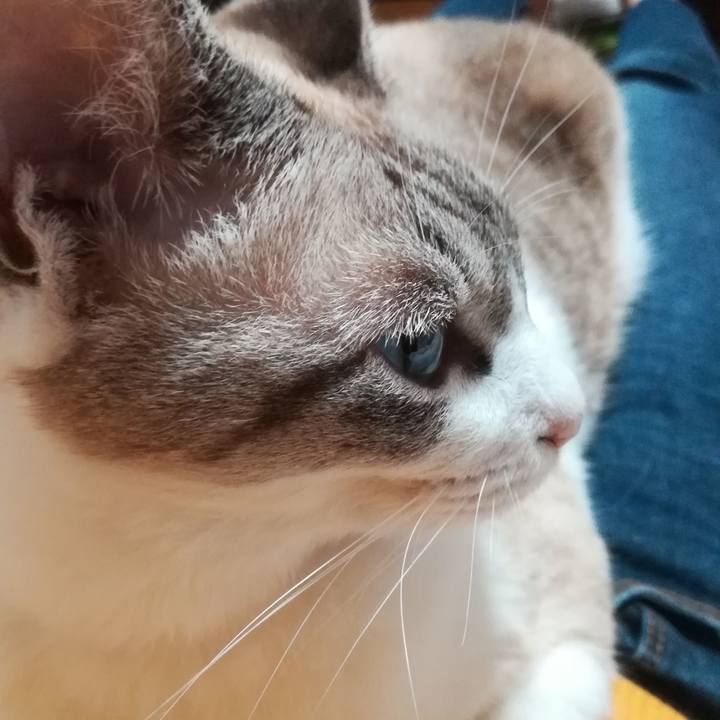 63f9f6dd 37de 4677 b488 0088b838522b 1568456863774