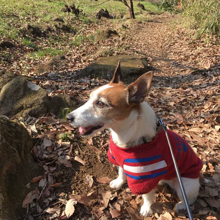 63fa188e de28 4bb2 b237 9a2df1801284 1551517638675