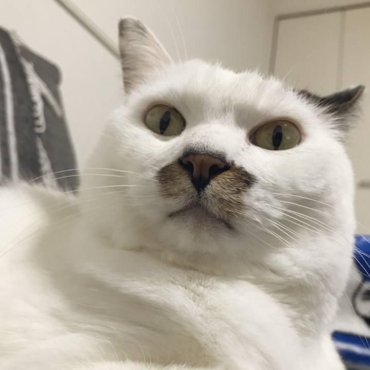 63fa3458 fd1d 40c6 82d5 ca6c0642d91d 1549942857982