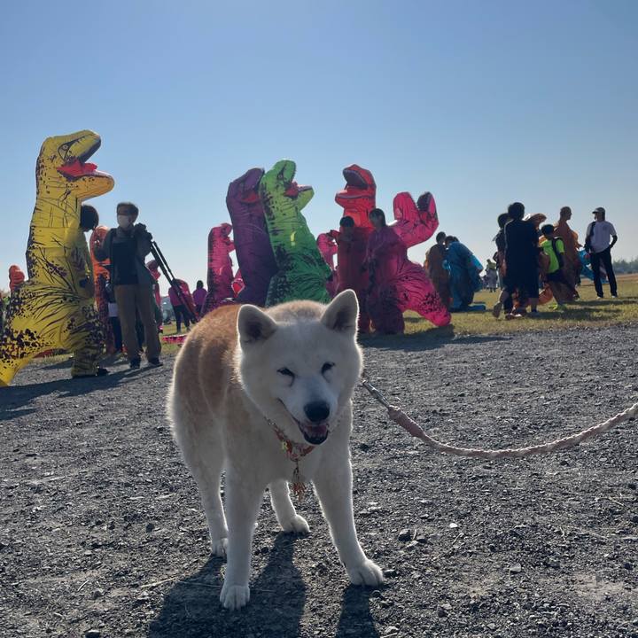 63fa3765 5d28 45b8 89b2 a7340a7d0c6b 1699014654291