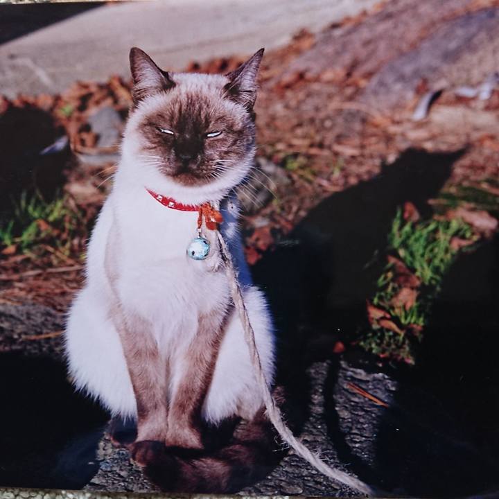 63fa3d45 0fa9 44d7 a803 bfb20f8d0402 1556877958797