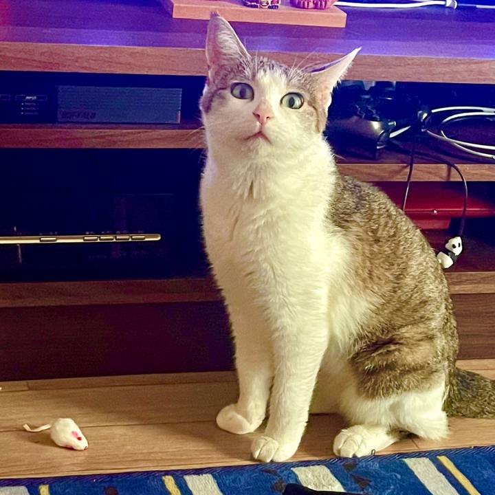 63fa3f37 0e48 43b0 b46b 09f1b48a6b90 1628155026276