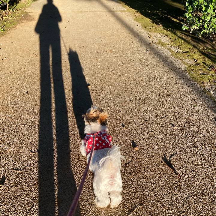 63fa5a1b bd73 4f0e 83b8 c3aa4e02b9d1 1634716456411