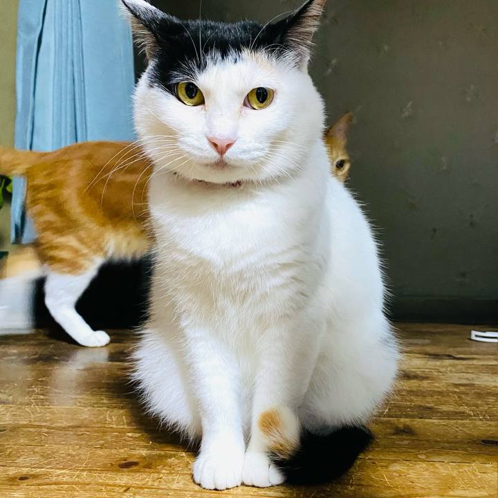 63fa6ce7 2aef 4d7d 8d6b 1034623d20a7 1680352275409