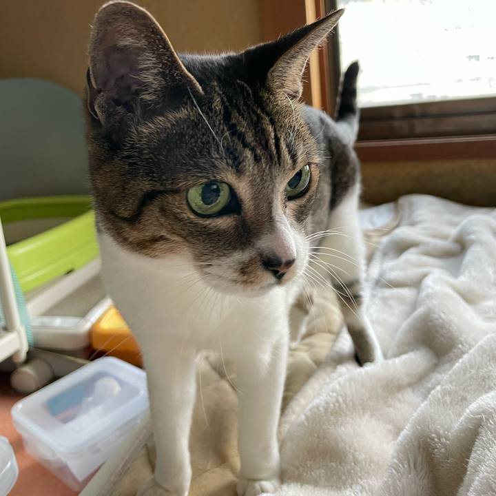 63fa8567 81fe 4a46 880b a887aefa3b02 1639015485187