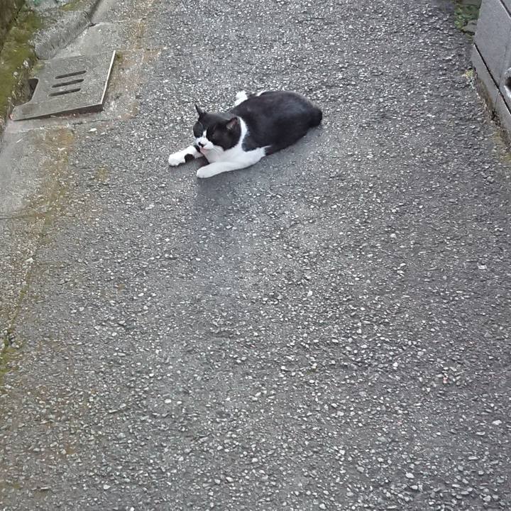 63fa9b44 14bc 45c1 9aa5 9c38f614e458 1598437655449