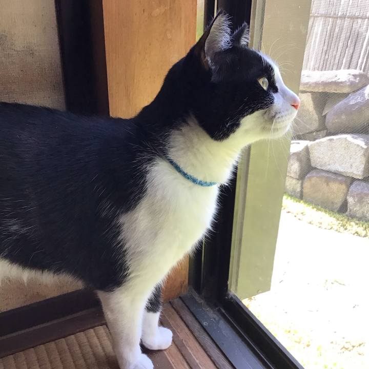 63fab517 9ac7 45ea 9431 d1086bc4c0fa 1714723773028