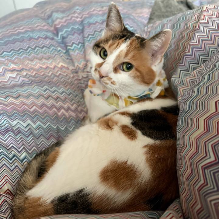 63fab60b 8e7c 4861 9188 6c419aa04226 1769556864083