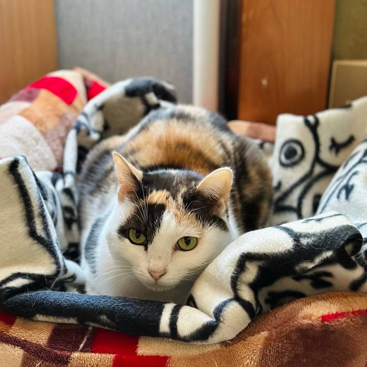 63fad465 3190 44df 81b4 cd82adf71296 1703126391163