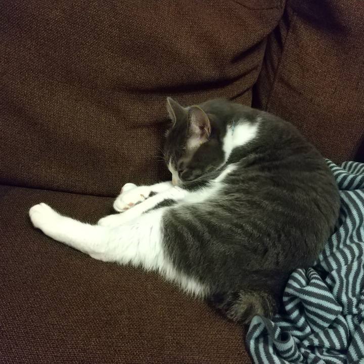 63fb057b 04bd 417b b2a5 c8f7b3f23685 1608208511200