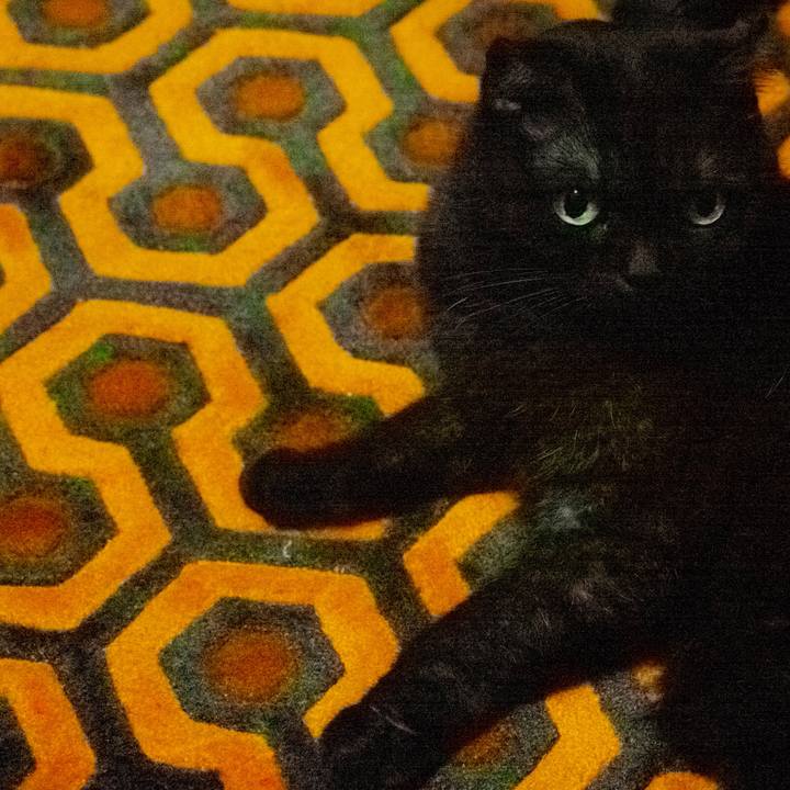 63fb23a4 3cf2 41f4 a00d d6c0602a14ea 1539364122946