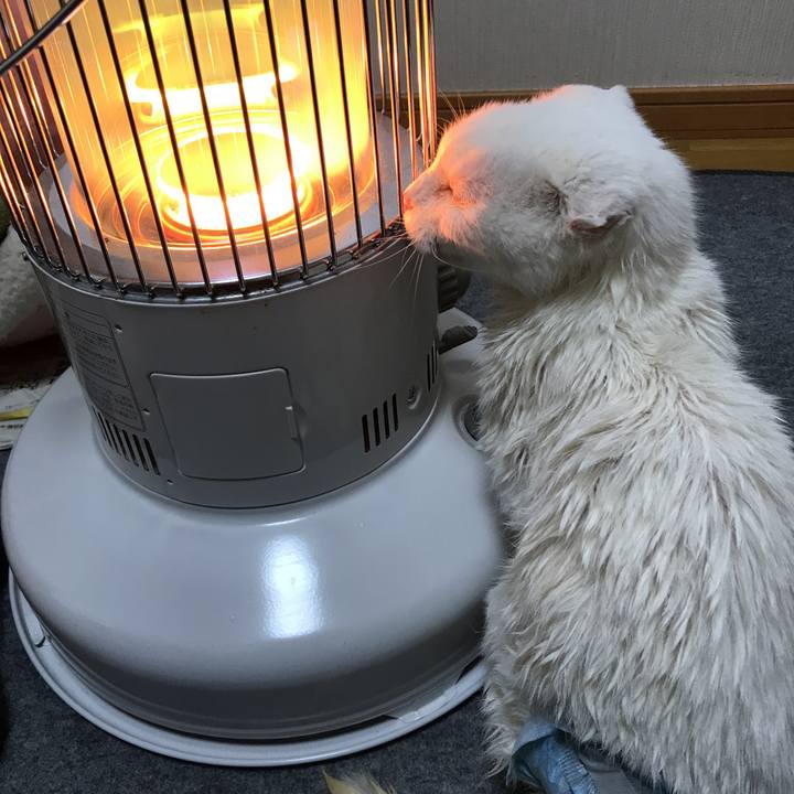 63fb2c1e ff47 4de5 b7f8 2fe0415bae3e 1524620467801