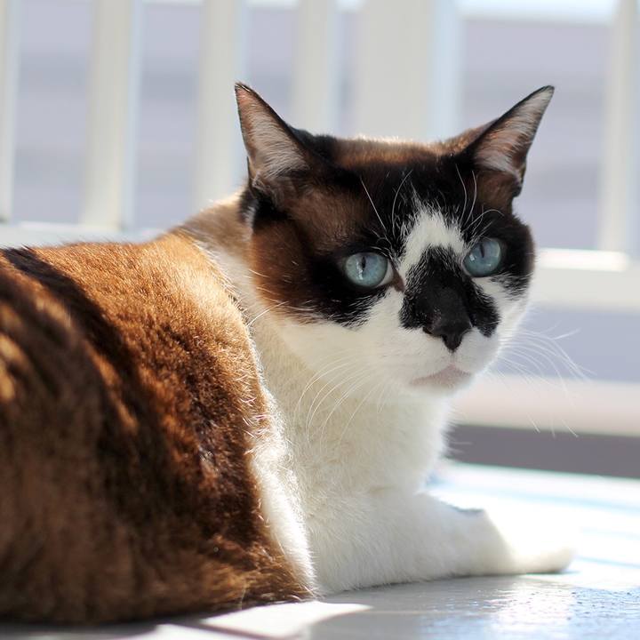 63fb32c2 91fc 4838 b0c4 666405e8c261 1528256327316