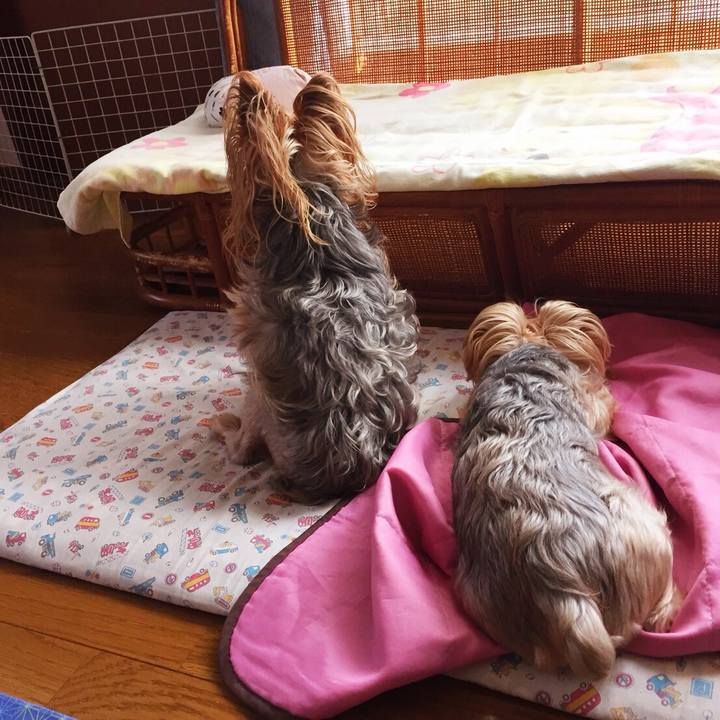 63fb41ae 9250 409b a441 cb12ab7c39bd 1535443446768