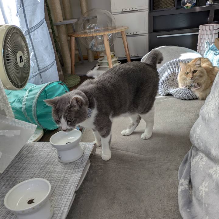 63fb794c d14d 436a 9c46 034fedbc2cfd 1766713142432