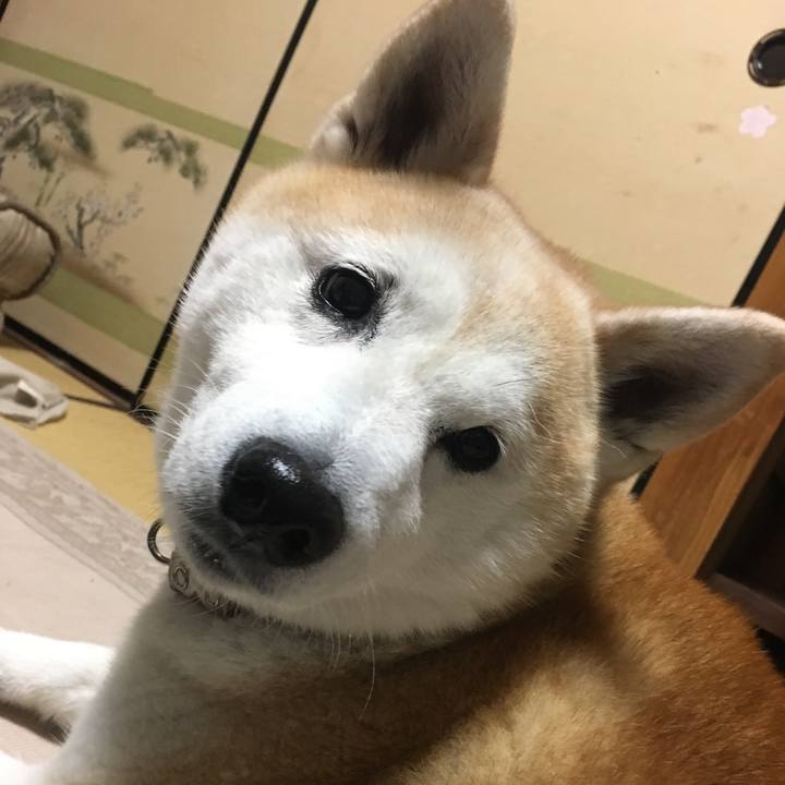 63fba394 318e 4655 a38e b990d57b9894 1525343842194