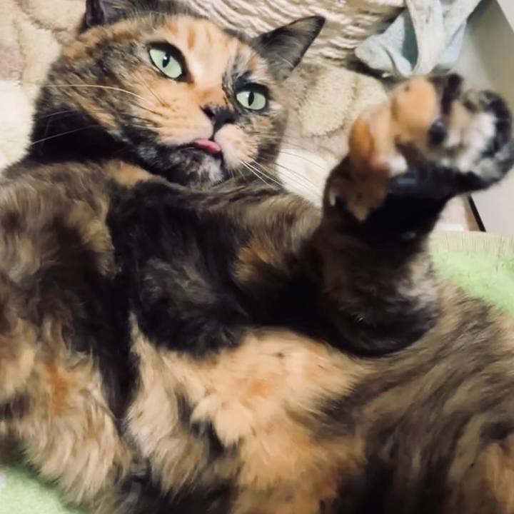 63fc04f9 1476 4f2d a737 5a4d9e3f4918 1733650224859