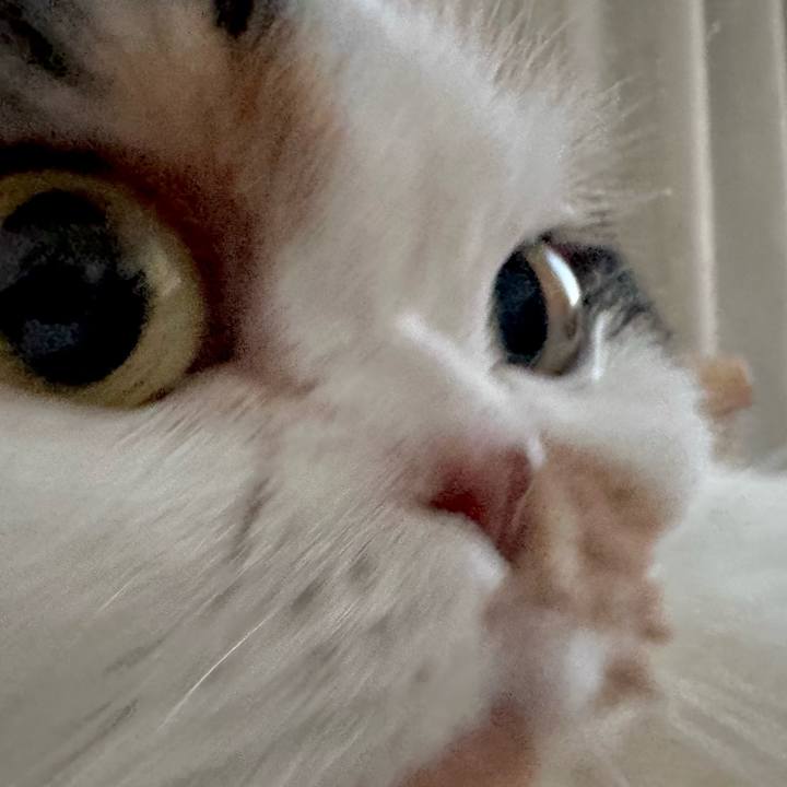 63fc0f6b aecb 419c 9442 024c95e45bde 1707083114869