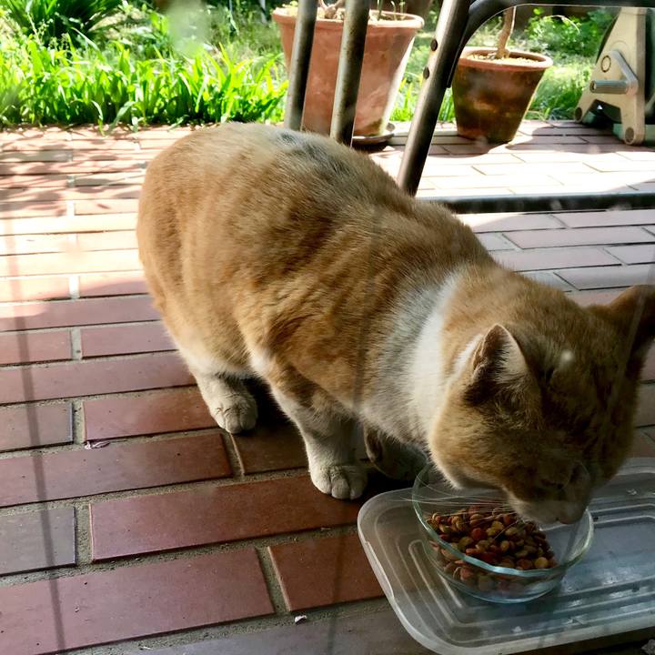 63fc2c76 4210 4bd1 8e8e 29a89a5b8bd8 1522475323941