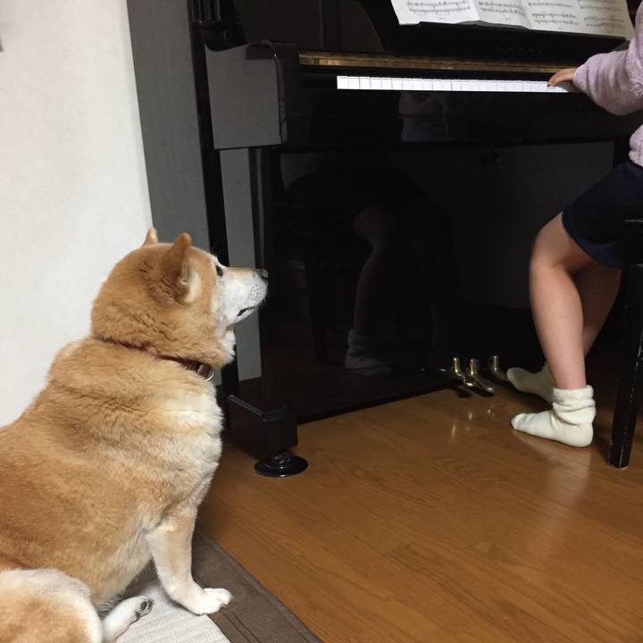 63fc4a85 840e 4852 a14d c64dcbe094e7 1525868378474