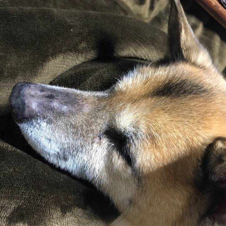 63fca525 7ddf 40e9 9476 004542afc5ec 1553858831464