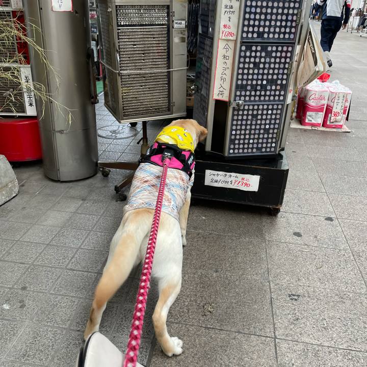 63fcd4ff a895 49f2 9b60 9ced68518b7d 1625748858314