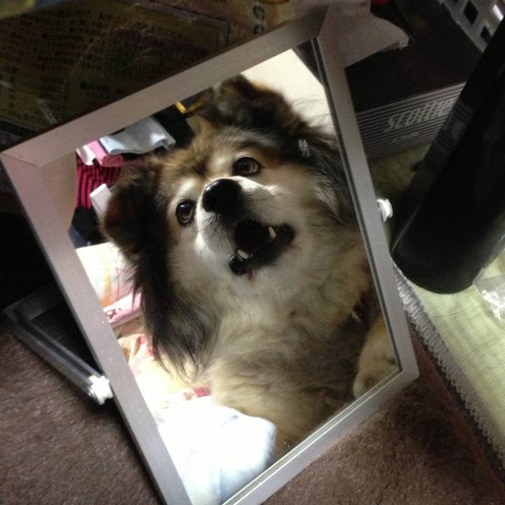 63fce97f 7c9e 4f2a b715 ae6fe1c4c746 1577145111066