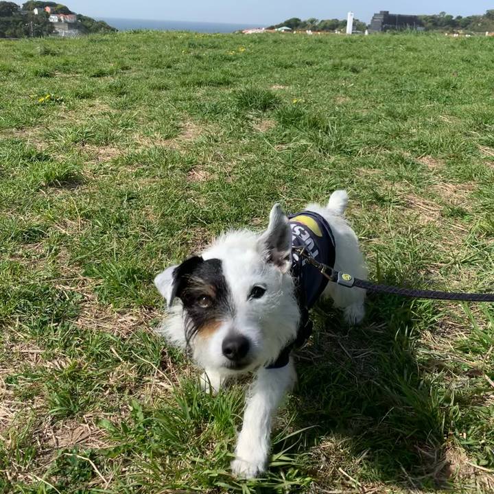 63fd0ad0 f64b 4c3b b470 4a0f4a35e94d 1681345015041