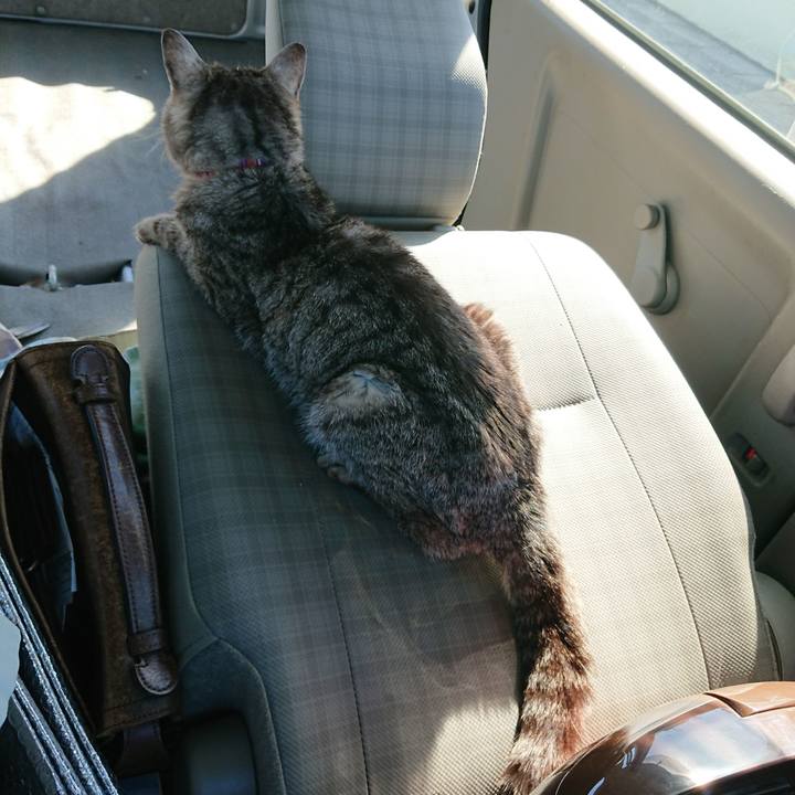 63fd4caa 251d 4674 82a6 155bc3b17fa6 1592640159371