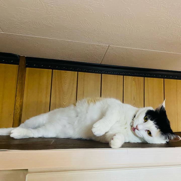 63fd6450 a4f5 4575 a6fb 2d6786c552b6 1650286633595