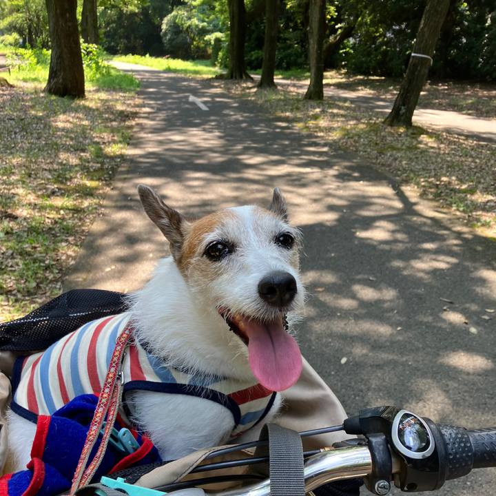 63fd66db 5562 48f7 b1c9 9cae043a34c6 1721605654618