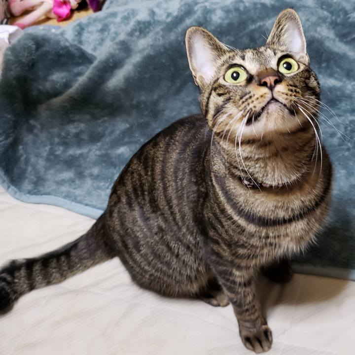 63fd7721 a77f 4cd2 a3af a578d0f027d3 1586927816228