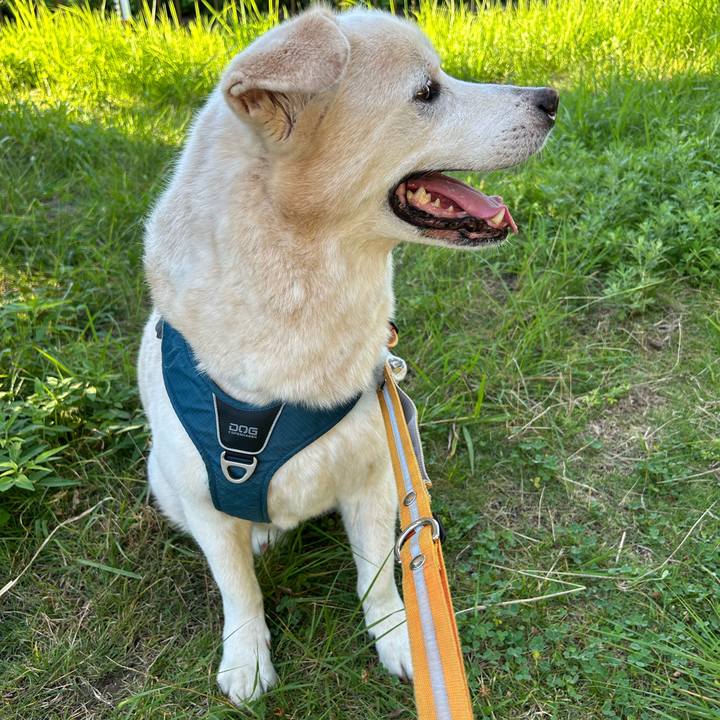 63fd972c 7c30 488d 8947 923f911bb5fb 1753753871481