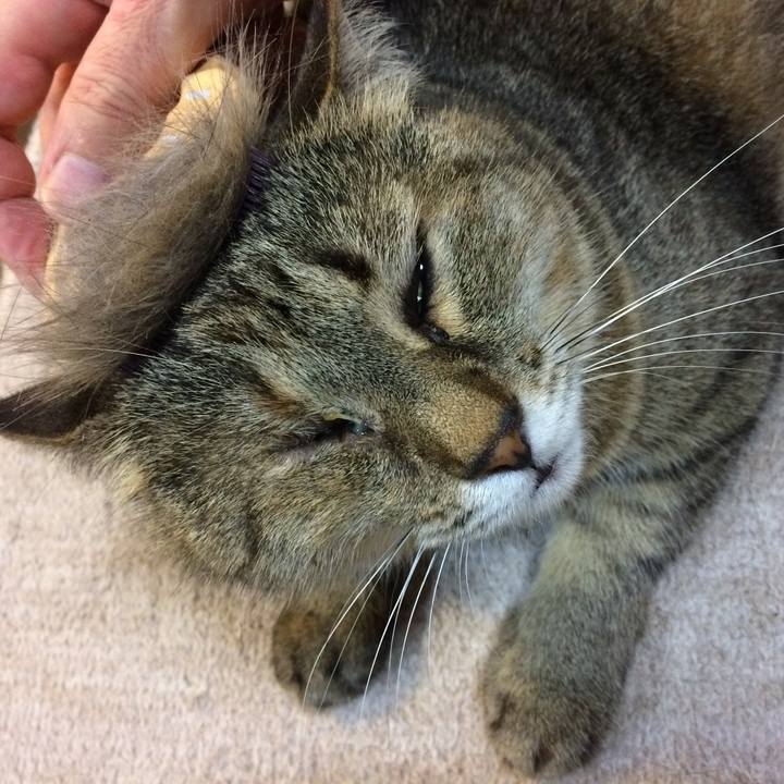 63fd9e04 dac0 44f8 8b86 a328c889e06a 1592471784869