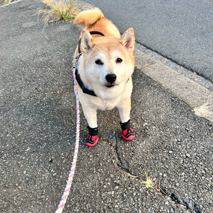 63fdbe05 c649 4509 9cac 549c11b8b750 1734329819254