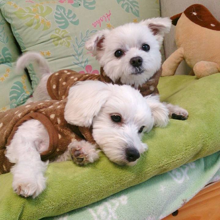 63fdf303 0c72 4ce3 9766 7ecd47f2c3b8 1510399324890