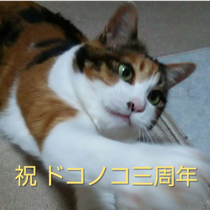 63fe480f 9fe1 408e 82ec 4eb29b83f09e 1559727793722