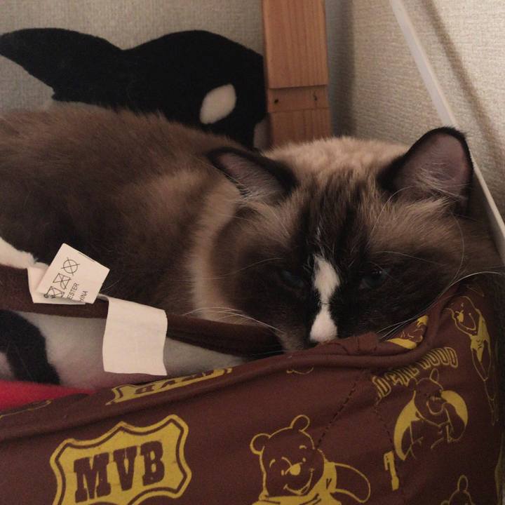 63fe6ef9 7b2c 46ac a48d b6d9a10225cc 1511253941637