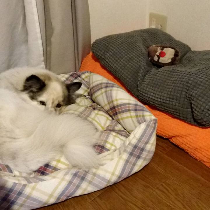 63fe8402 990a 42b0 92fd 4b224752a044 1512653206468