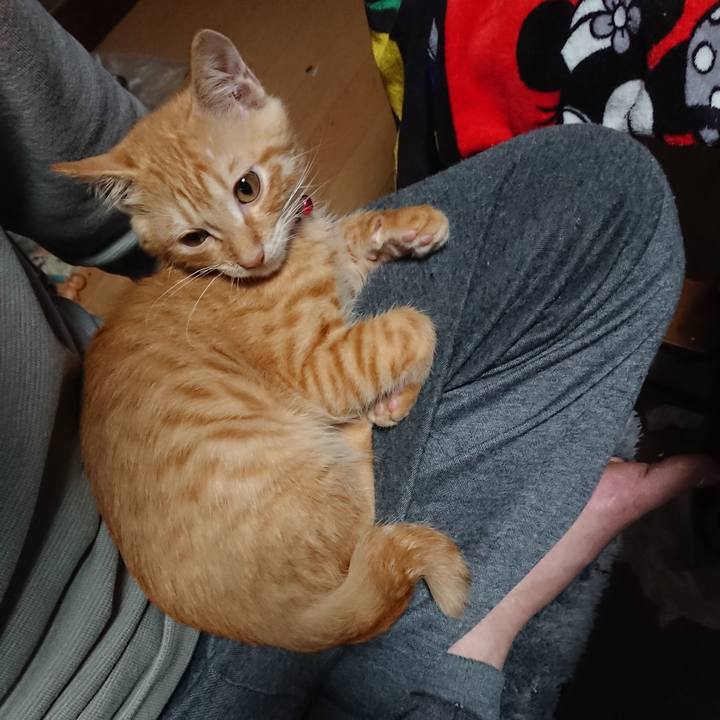 63fecfa3 dd27 4402 9227 a4aef35c9954 1632348538044