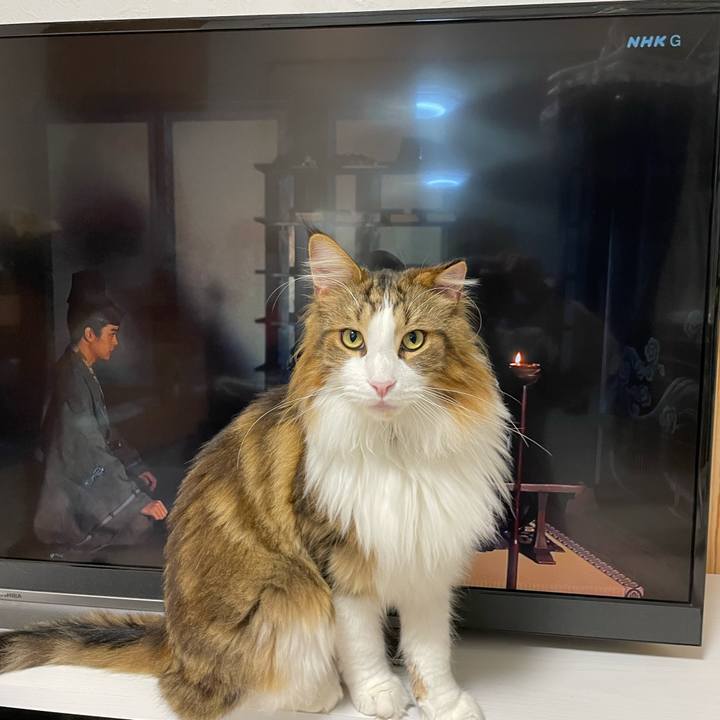 63fed65a c878 4c19 8cfb 4a7af3d7ced5 1666606180482