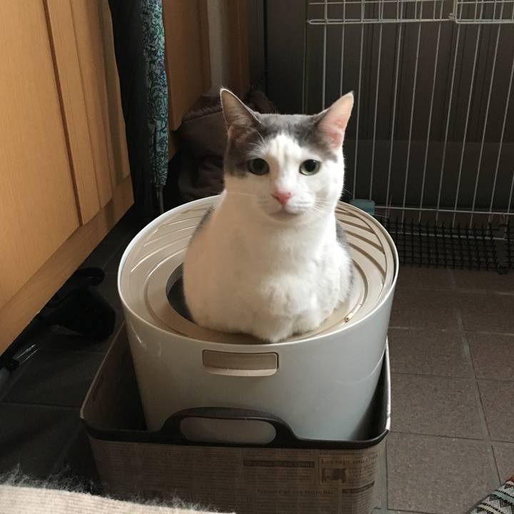 63ff2824 3b36 4b46 8ead 8fb511c40d71 1518224868336