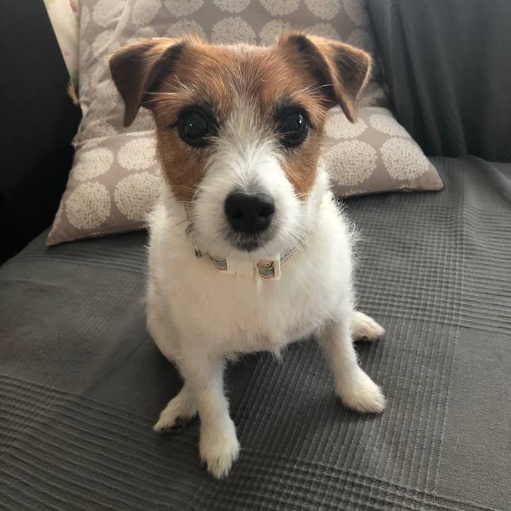 63ff2e68 f0f0 475f 8b8f 2f8c5e3cdc1f 1603974867168