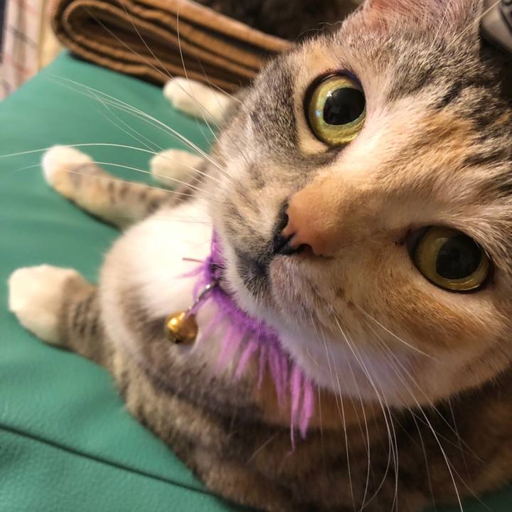 63ff8fb5 26a9 40dd 9e99 1655aab6404e 1558588455132