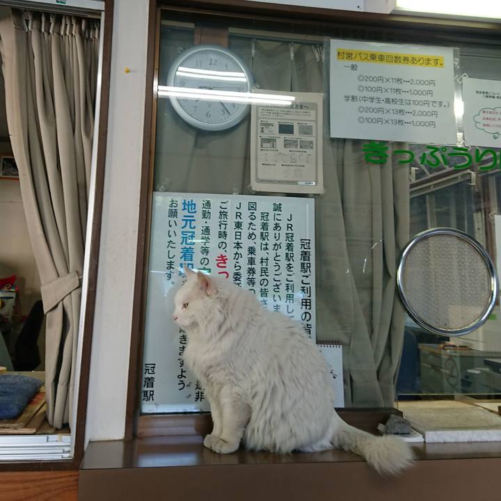 63ffa847 9906 427a b2f6 8a43f0ef7c59 1558563862442