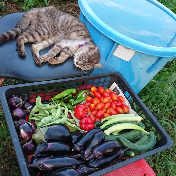 63ffaeb2 f8f3 40d7 96cb 118bc37073b5 1598779408978