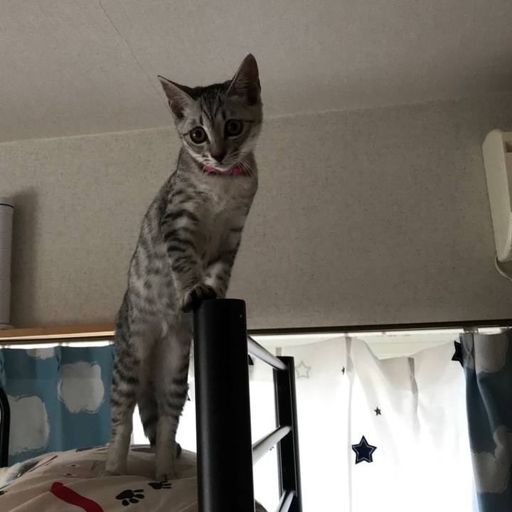 63ffe83e 7025 4403 84db c37609414698 1566185047523