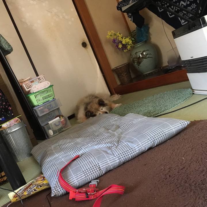 640024c1 f601 467f b880 089e75a8efa3 1598508759455