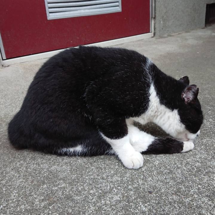 640030e6 537d 4c14 88cf 1c9fe2aff246 1624430182121